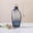 Blue #3, variant on Glass Vase Hydroponic, Minimalist Table Centerpiece Glass for Plant Propagation, Home Decoration Ornament for Living Room Shelf Office Desk