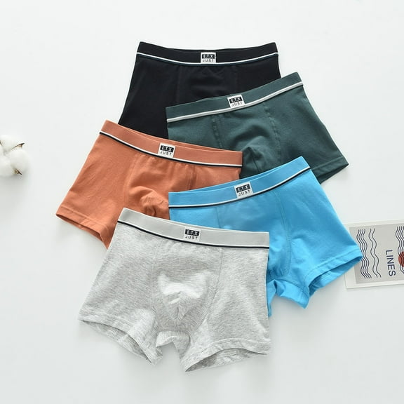 HAOYUNL Kids Teen Boxer Briefs Cotton Underwear for Boys Briefs Little Big Little Cute Boxer Shorts Panties 5Pack