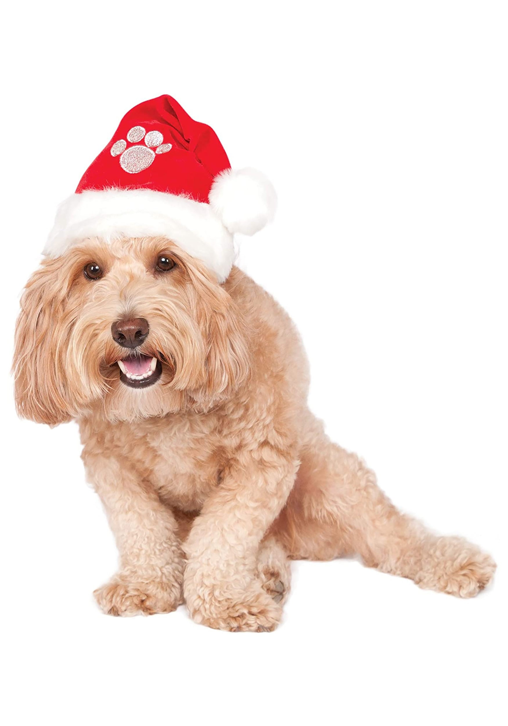dog with santa hat