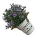 thumbnail image 5 of Planta en maceta artificial decorativa casera del árbol de la maceta de la simulación plástica de los bonsais falsos Speravity HA8520-00B, 5 of 6