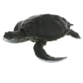 thumbnail image 1 of de Animales de Simulacicón Coleccionable de Navidad para Tortuga D CUTICAT Juguete de figura animal, 1 of 8