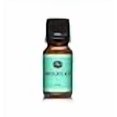 thumbnail image 3 of Chocolate Mint Fragrance Oil - Premium Grade Scented Oil - 10ml, 3 of 4