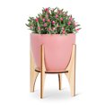 thumbnail image 2 of Pot Rose avec Support en Bois Support de Plante, 2 of 4