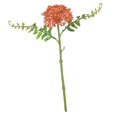thumbnail image 4 of Flor artificial Jardín de plantas Decoración para hogar Bricolaje Jardinería - Amarillo rojo, 4 of 9