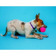 Hartz Dura Play Small Ball Dog Toy with Bacon Scent and Squeaker, 3 Pack