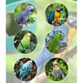 thumbnail image 3 of KUFptva Warm Bird Nest Winter Bed House Tent Hanging Hammock Cage Tent Hideaway for Parrot Cockatiel African, 3 of 6