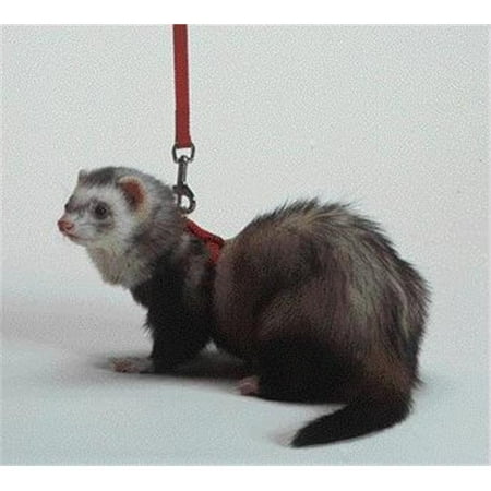 - MARSHALL PET PRODUCTS FERRET HARNESS/LEAD SET ROYAL