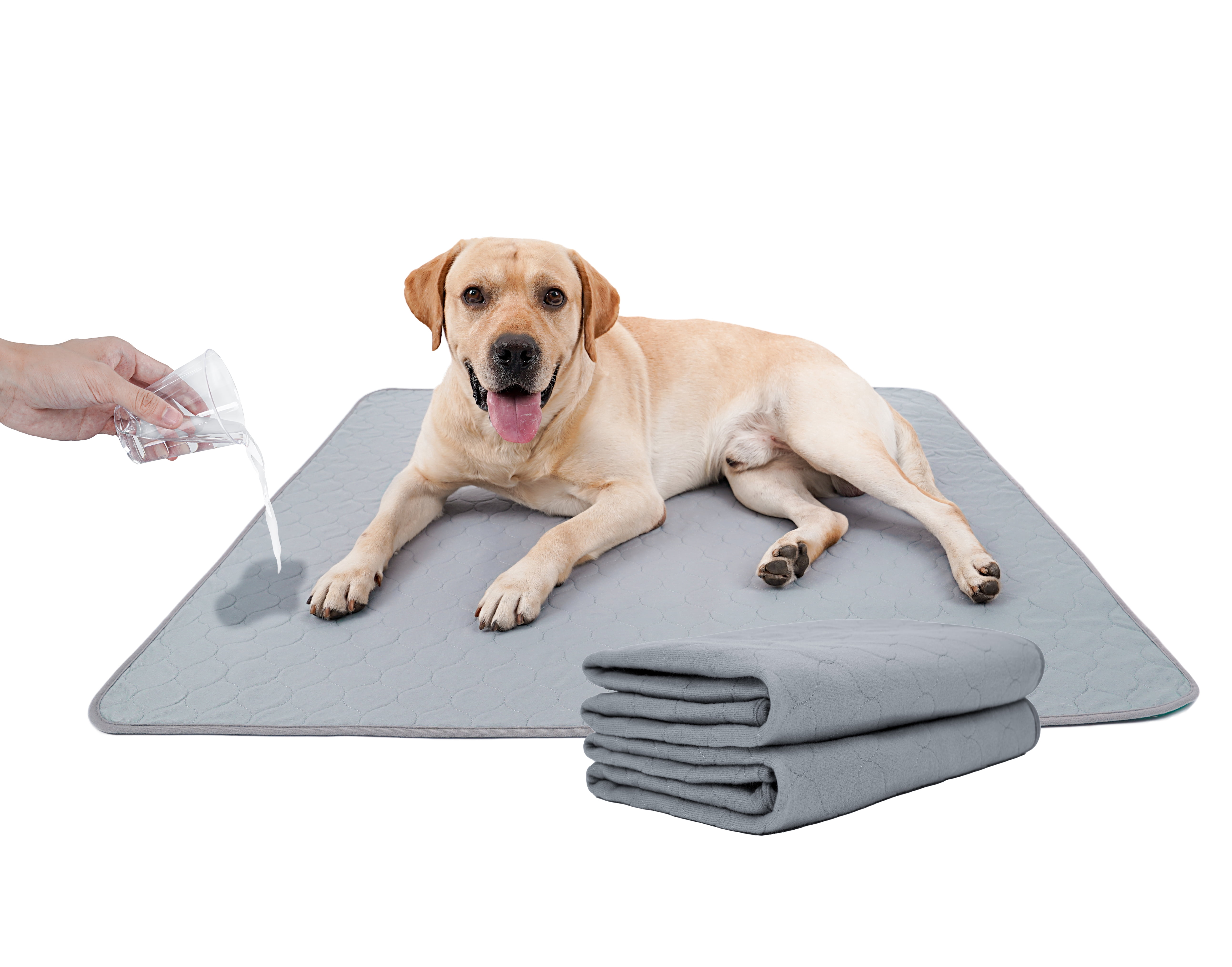 Reusable Pee Pads EZwhelp Reusable Dog Pee Pads Dogs Waterproof