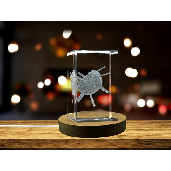 Lymph Nodes | 3D Engraved Crystal Keepsake | Gift/Decor | Collectible | Clear - AB Crystal Collection