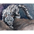 thumbnail image 2 of Campbell, Robert 14x12 White Modern Wood Framed Museum Art Print Titled - Stalking Snow Leopard Club, 2 of 4