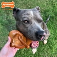 thumbnail image 3 of Juguete masticable Nylabone Pretzel Power para perros masticadores agresivos, 3 of 9