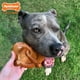 thumbnail image 3 of Juguete masticable Nylabone Pretzel Power para perros masticadores agresivos, 3 of 9
