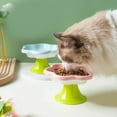 thumbnail image 4 of Ceramic Raised Cat Bowl With Flower Design, Elevated Cat Food Bowl Water Plate Snack Dish With Stand For Neck Protection, 4 of 10