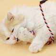 thumbnail image 3 of Interactive Cat Wand String, Cat Teaser Toy with Cute Shape and Vivid Color, Cat Kitten Exercise Cat Stick Toy 00A, 3 of 6