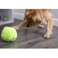 thumbnail image 3 of FFIY Furballz Rainbow Plush Dog Toy with Chew Guard Technology, Large, Rainbow, 3 of 9