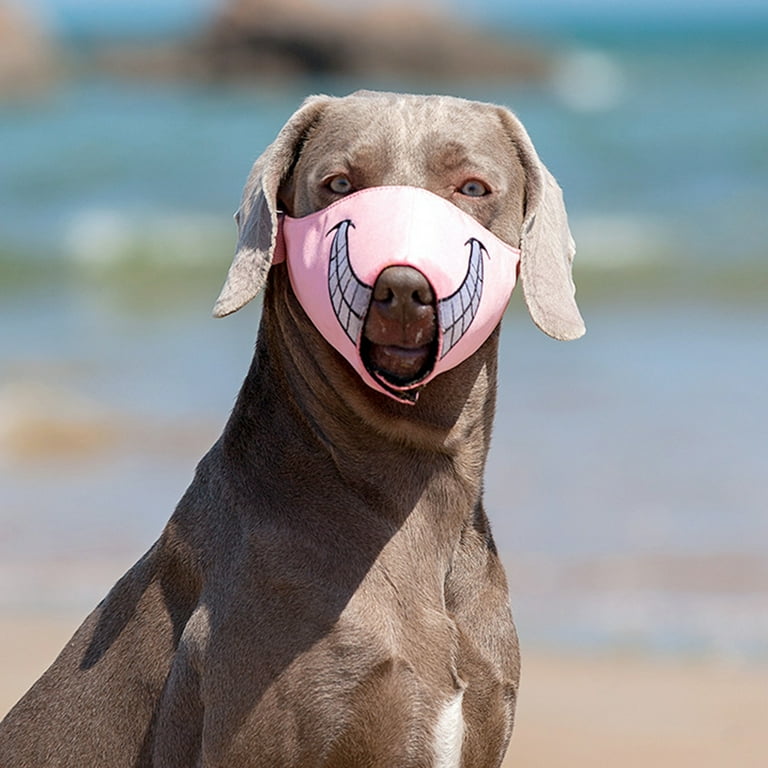 Funny dog muzzles cheap