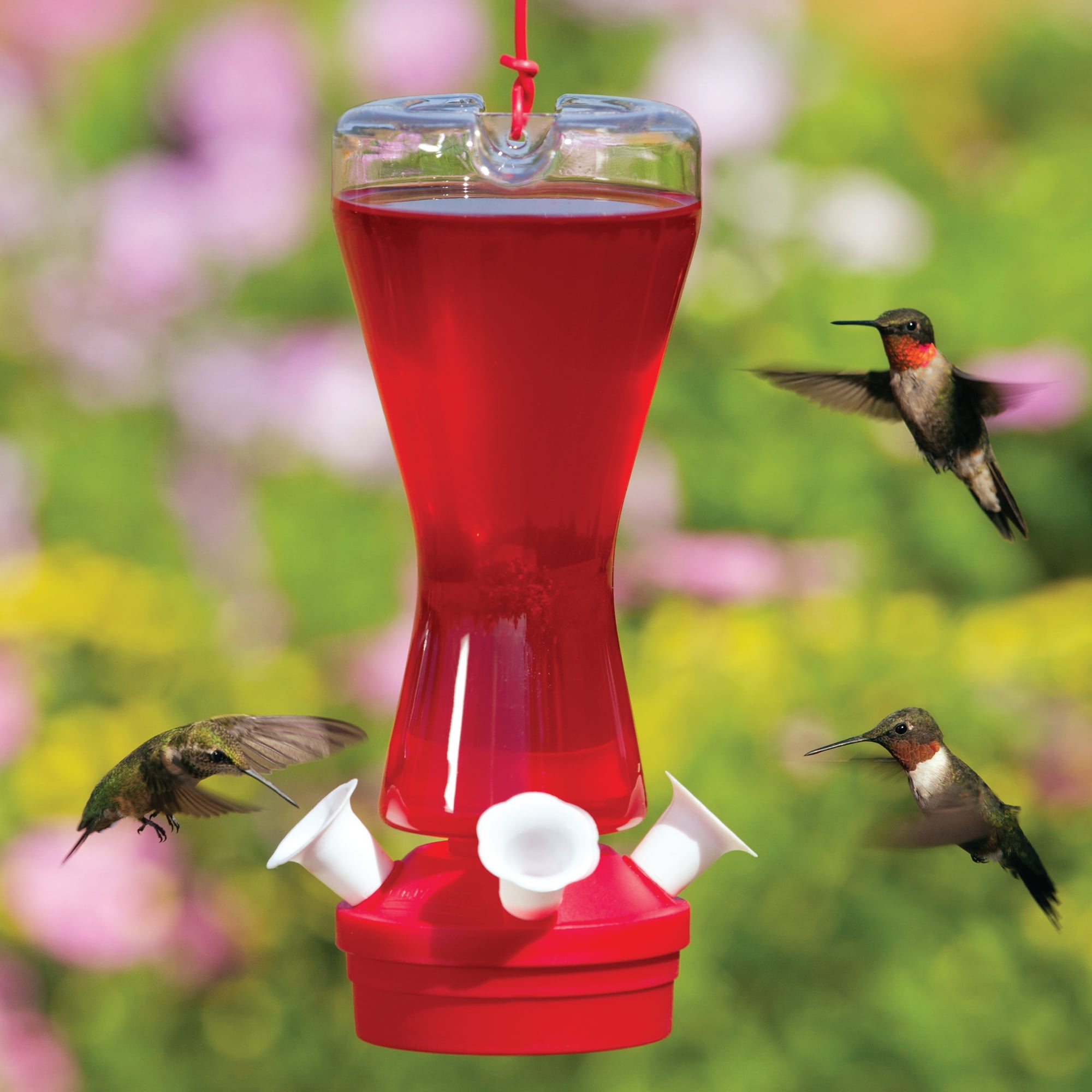 Pennington Liquid Concentrate Hummingbird Food Nectar 16 Fl Oz