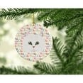 thumbnail image 2 of Chinchilla Persian Longhair Cat Christmas Ceramic Ornament 2.8 in x 2.8 in, 2 of 3