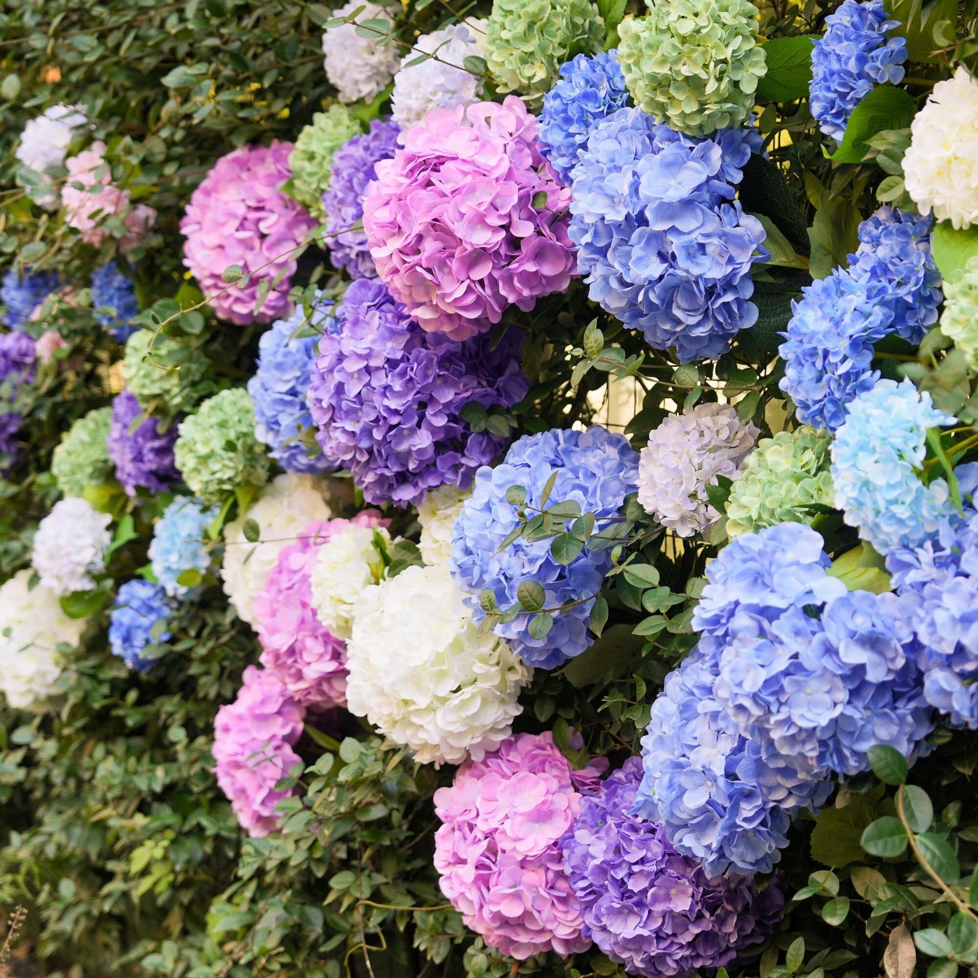 3pcs 26 inch Extra Large Realistic White Hydrangea Artificial Flowers Faux Hydrangea Flowers Fake Hydrangeas Silk Flowers with Stems for Outdoor Wedding Party Office Home Decoration