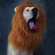 thumbnail image 2 of Greeniant Mascota Ajustable Cómodo Fancy Lion Hair Dog Mane Peluca Disfraz Peluca y Orejas Party Pet Proveedor Ropa para mascotas, 2 of 6