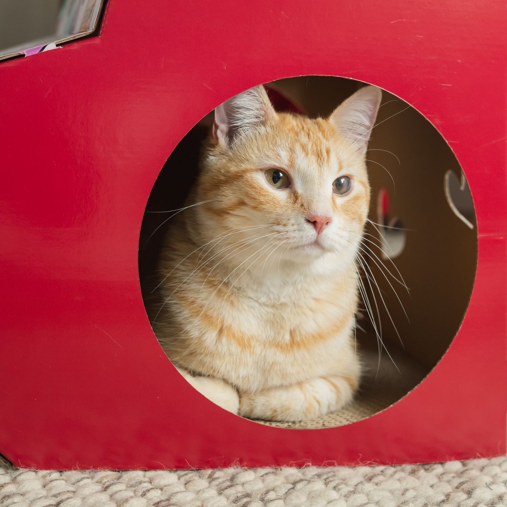 Kitty City Conversation Heart Cat Scratch House, For Cats, One Size