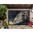 thumbnail image 3 of Carolines Treasures 7353MAT Irish Wolfhound Sleeper Doormat 18x27 27"L x 18"W multicolor, 3 of 4