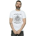 thumbnail image 2 of Harry Potter Mens Hogwarts Waiting For My Letter T-Shirt, 2 of 5