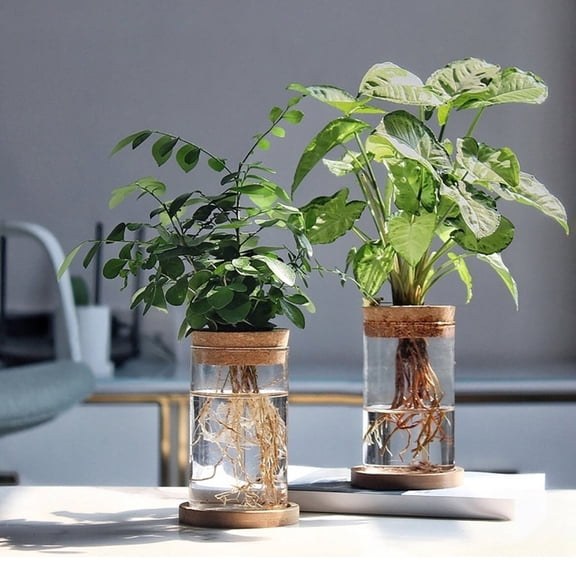 HEVIRGO Plant Propagation Station Glass Planter with Wooden Tray Lid Tabletop Plant Propagation Vase for Hydroponic Plants Flower Cuttings