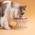 thumbnail image 5 of Comedero elevado para gatos, plato de cerámica, rejilla de hierro, accesorio resistente, cuenco minimalista para comida y agua para gatos, desmontable para comida seca y húmeda, 5 of 5