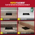 thumbnail image 5 of Catchmaster Mouse & Insect Glue Traps 40-Pk, Classic Sticky Traps for Bugs & Mice, 5 of 7