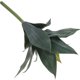 thumbnail image 1 of unbranded De Planta Falsa De Plástico Verde Para O Cocina, 1 of 6