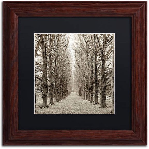 Trademark Fine Art "Hampton Gates Promenade III" Canvas Art by Alan Blaustein, Black Matte, Wood Frame