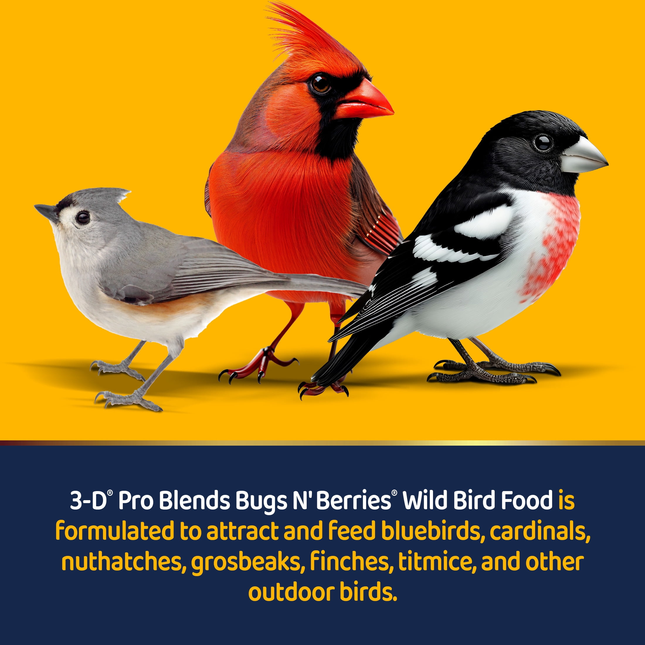 3-D Pro Blends Bugs N Berries® Wild Bird Food, Wild Bird Seed Blend, 5 Pounds