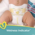 thumbnail image 6 of Pampers Swaddlers Soft and Absorbent Diapers, Size N - 20 Ct, 6 of 6