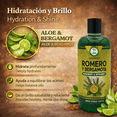 thumbnail image 4 of SHAMPOO ROMERO & BERGAMOTA (ROSEMARY & BERGAMOT) 16.9 fl oz healthy and beautiful hair with every wash, 4 of 9