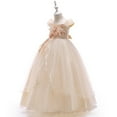 thumbnail image 3 of 4-14Y Girls Princess Dress Flower Embroidery Lace Pageant Dress Prom Ball Gown, 3 of 4