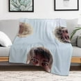 thumbnail image 5 of Blanket Sam and Colby Blanket Soft Comfortable Warm Wool Blanket Fan Gift Suitable for Room Sofa Office Bed Car Camping Sofa Decoration Comfortable Plush Beach 30"x40", 5 of 6