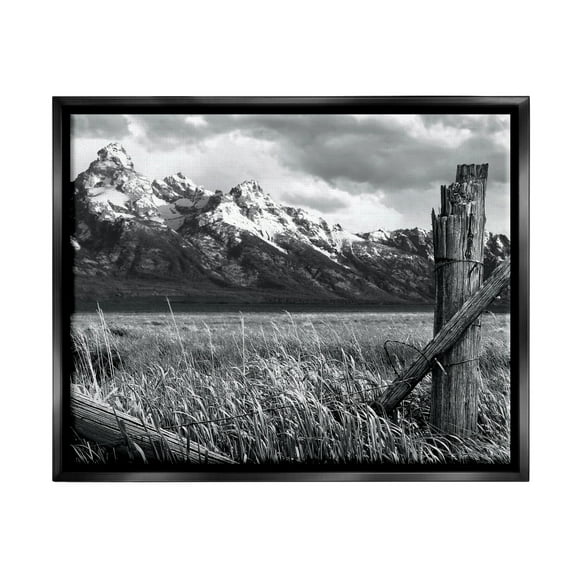 Stupell Industries Grassland Fence Photography Landscape Photography Black Floater Framed Canvas Art Print Wall Art, 21 x 17