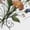 White, variant on White Wildflower Heart Hoodie Women Cute Floral Print S-2XL Tops