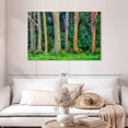 thumbnail image 2 of Elephant Stock Eucalyptus Rainbow Trees Wall Art - Horizontal Canvas Wall Art - Living Room Wall Decor - Floral And Botanical Canvas - Green And Blue Decor - 45" x 30", 2 of 8