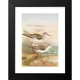 thumbnail image 2 of Johann Friedrich Naumann 14x18 Black Modern Framed Museum Art Print Titled - Totanus Totanus, Totanus Stagnatili's Bechst., 2 of 5