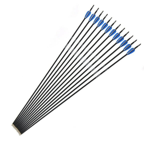 12pcs 30" Carbon Arrows with 6pcs Nocks and 6pcs Fletchings Archery For Recurve/Compound Bow