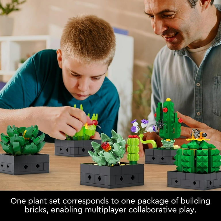 Educiro Artificial Succulent Building Set, 5 Pack (590 pcs), Home