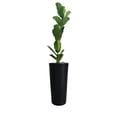 thumbnail image 1 of Jarron Maceta minimalista conica alta resistente para planta natural o artificial Green Boutique, 1 of 6