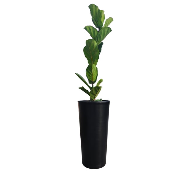 Jarron Maceta minimalista conica alta resistente para planta natural o artificial Green Boutique