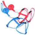 thumbnail image 3 of LEEYNEER Harnais Réglable en Nylon pour Chat Chiot Collier Laisse Traction Corde de Sécurité, 3 of 8