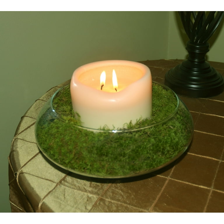 Mosser Lee 675 sq. in. Sheet Moss Soil Cover Mosser Lee 675 sq. in. Sheet Moss Soil Cover