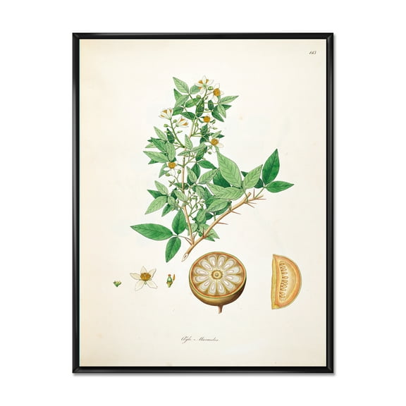 Designart 'Ancient Plant Life X' Farmhouse Framed Canvas Wall Art Print