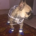 thumbnail image 6 of SSBSM 4Pcs/Set Pet Dog Puppy Non-Slip Soft Shoes Covers Rain Boots Footwear - for Home Protection, 6 of 8