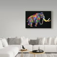 thumbnail image 3 of Trademark Fine Art 'Wooly Mammoth' Canvas Art by Bob Weer, 3 of 3